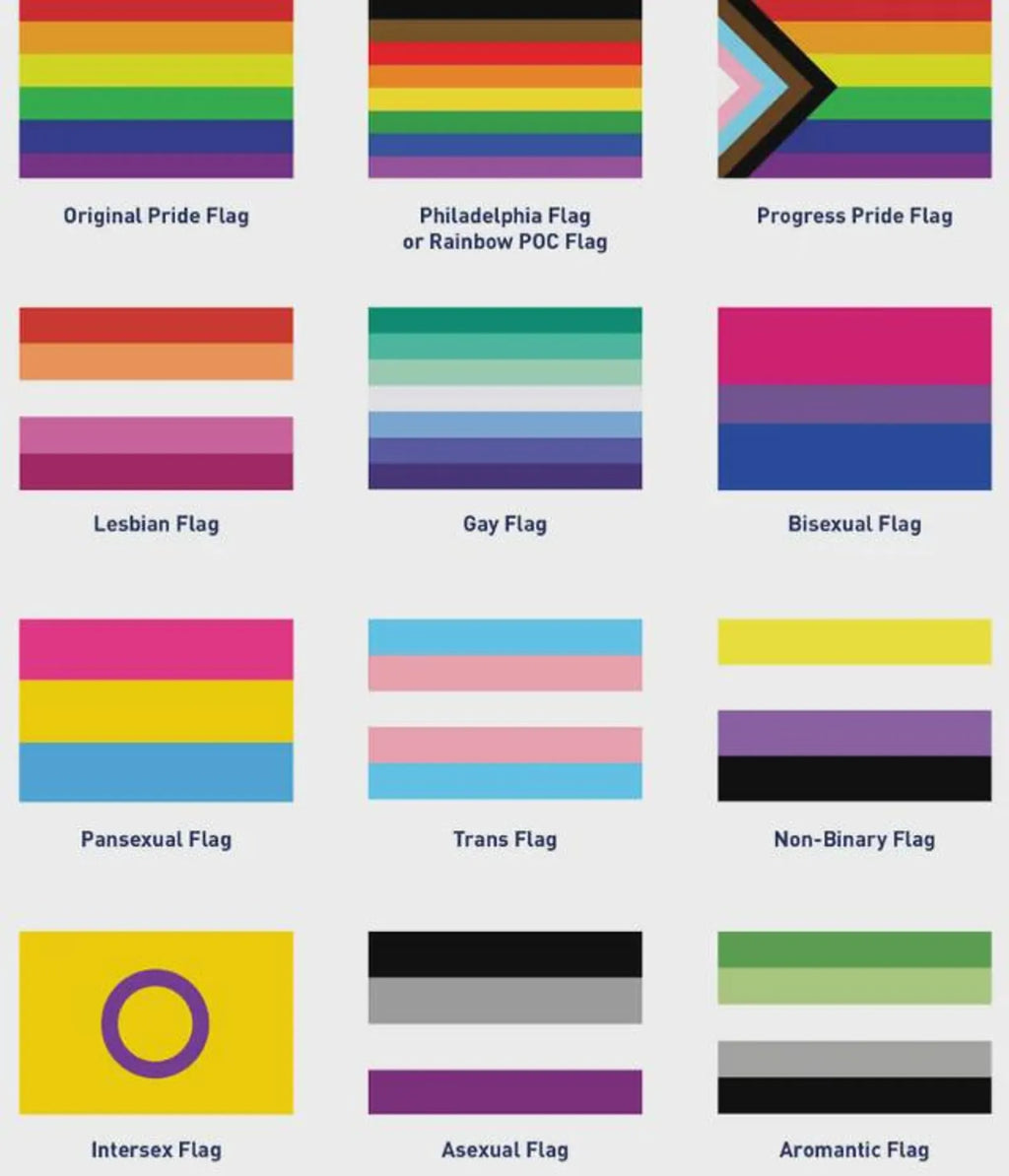 Pride Beret
